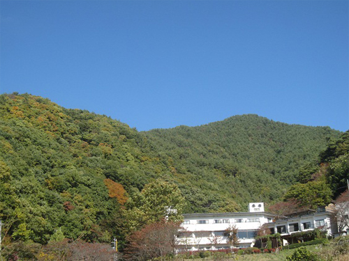 坐忘という名の隠れ宿 積翠寺温泉古湯坊 坐忘庵 甲府市内 昇仙峡 甲斐 おすすめ人気のホテル ホテル 旅館 旅のガイド 旅と宿のすすめ